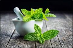 Nane Tohumu (100 Adet) Keskin Kokulu