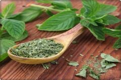 Nane Tohumu (100 Adet) Keskin Kokulu