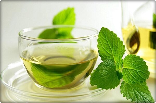 Nane Tohumu (100 Adet) Keskin Kokulu