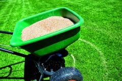 Çim Ve Fidan Gübresi 25-5-15 2 Mgo So3 Me (25 KG -500 M2)