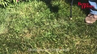 Çim Ve Fidan Gübresi 25-5-15 2 Mgo So3 Me (25 KG -500 M2)