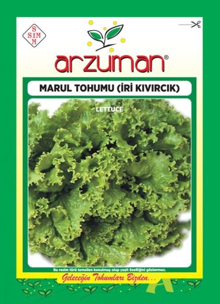 İri Kıvırcık - Marul Tohumu (10 gr)