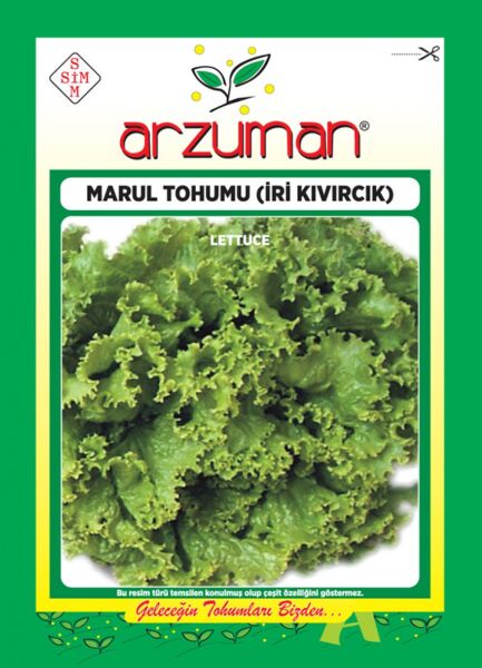 İri Kıvırcık - Marul Tohumu (10 gr)