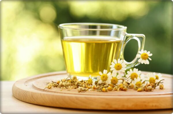 Papatya Çiçeği Tohumu (100 Adet) Beyaz Renk