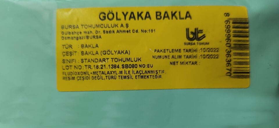 Bursa Tohum Gölyaka Bakla Tohumu 250 gr