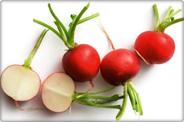 Arzuman İri Kırmızı Turp 10 gr