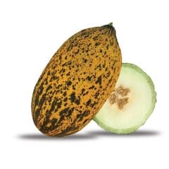 Kavun Tohumu Kırkağaç Tipi (Uzun-Benekli) 10 Gr