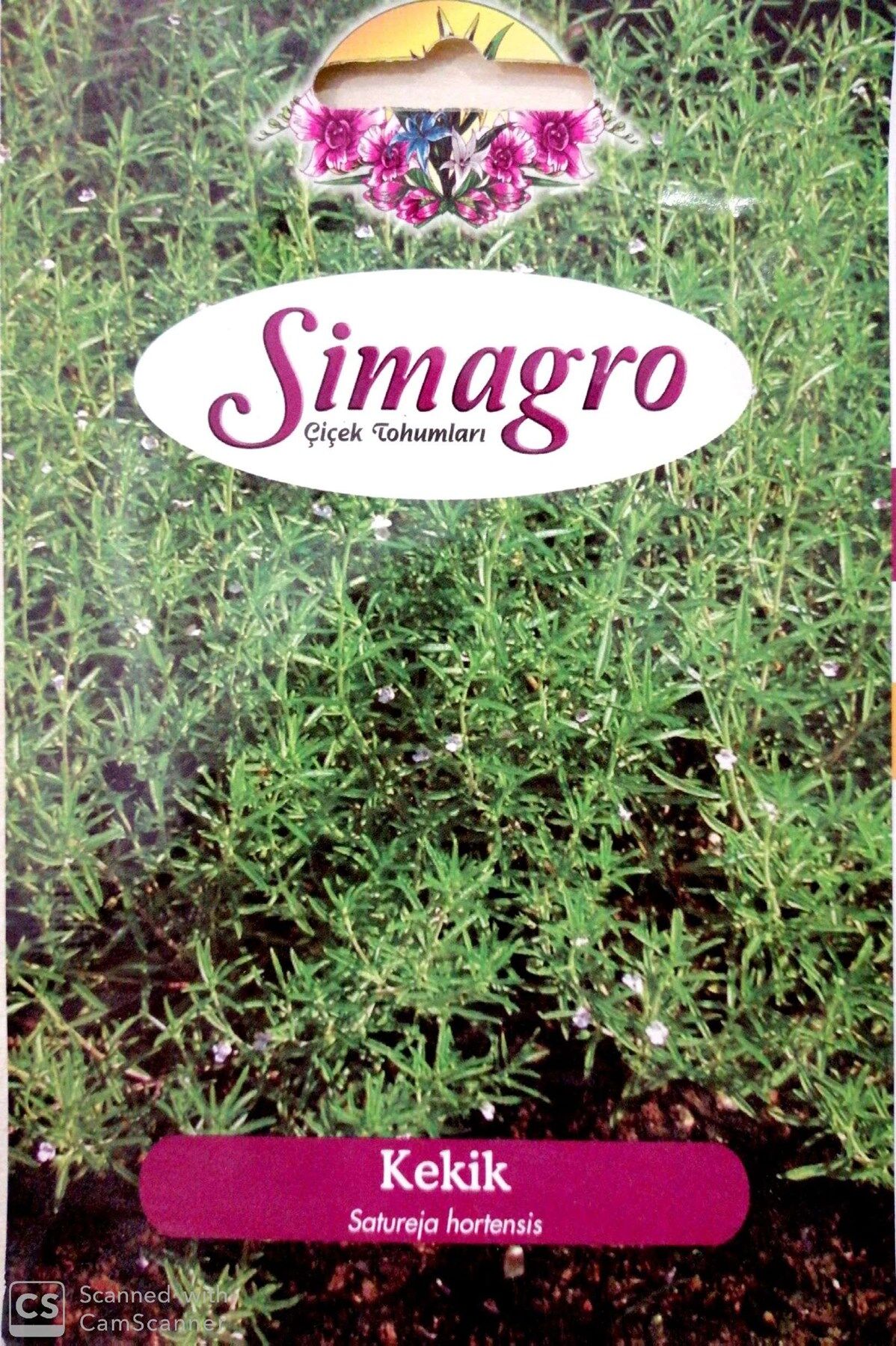 Kekik / Zahter Tohumu (100 adet)