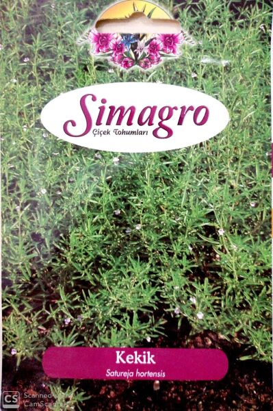 Kekik / Zahter Tohumu (100 adet)