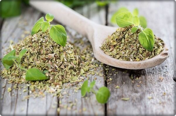 Kekik / Zahter Tohumu (100 adet)