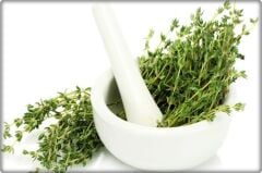 Kekik / Zahter Tohumu (100 adet)