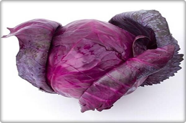 Kırmızı Lahana Tohumu 10 Gr