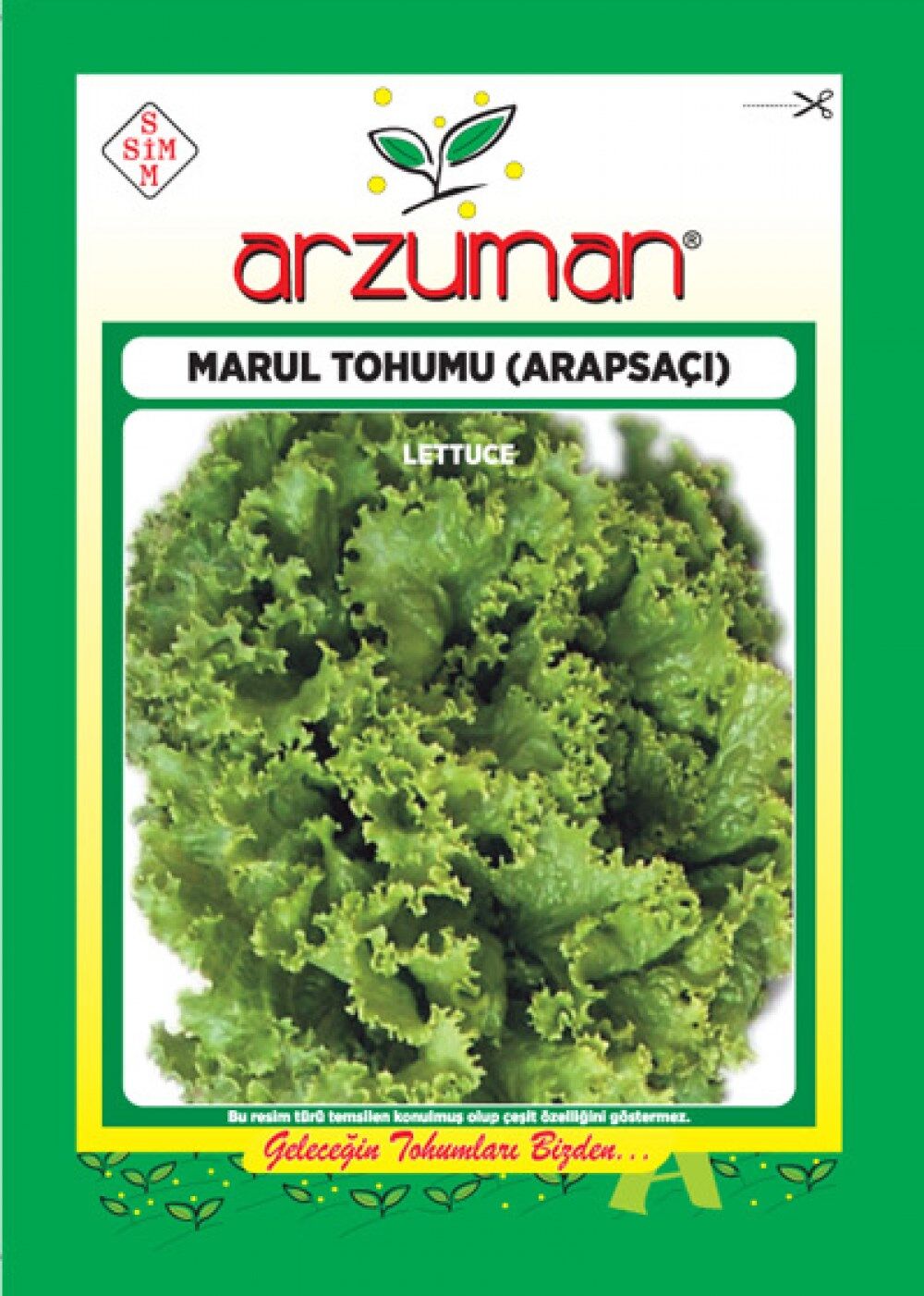 Arapsaçı Kıvırcık Marul Tohumu(10 gr)