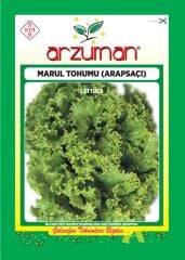 Arapsaçı Kıvırcık Marul Tohumu(10 gr)