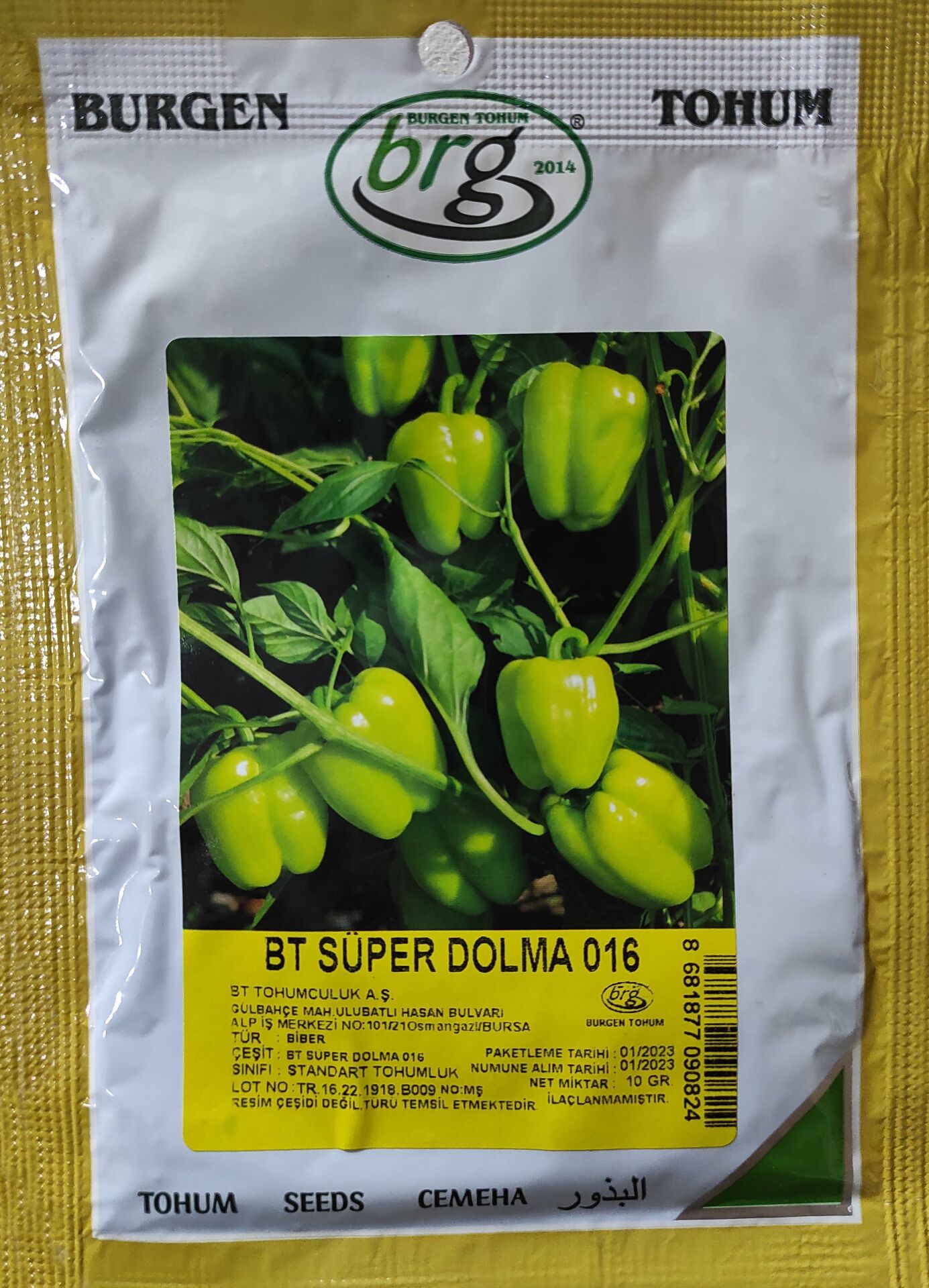 BT Süper Kandil Dolma 016 Biber tohumu 10 gr