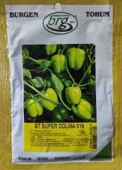 BT Süper Kandil Dolma 016 Biber tohumu 10 gr
