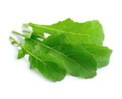 Roka Tohumu 10 gr Şato Tohum