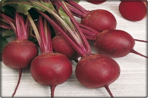 Kırmızı Pancar Tohumu (10 Gr)