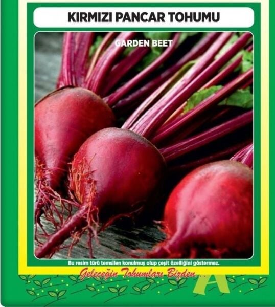 Kırmızı Pancar Tohumu (10 Gr)
