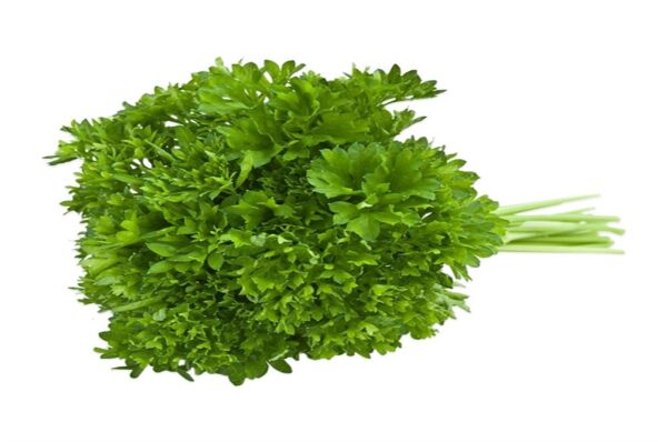 Kıvırcık Maydanoz (Frenk Maydanoz) 10 Gr