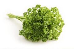 Kıvırcık Maydanoz (Frenk Maydanoz) 10 Gr