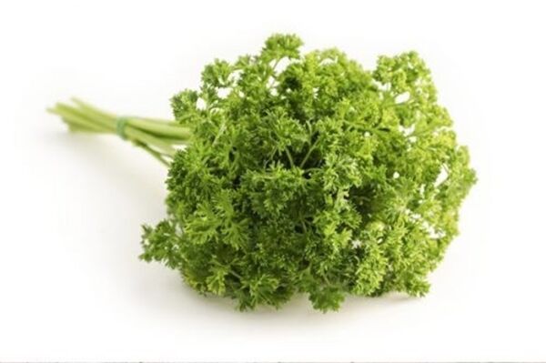 Kıvırcık Maydanoz (Frenk Maydanoz) 10 Gr