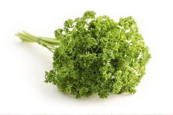 Kıvırcık Maydanoz (Frenk Maydanoz) 10 Gr