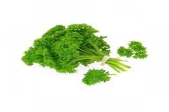 Kıvırcık Maydanoz (Frenk Maydanoz) 10 Gr