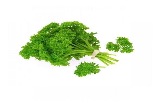 Kıvırcık Maydanoz (Frenk Maydanoz) 10 Gr