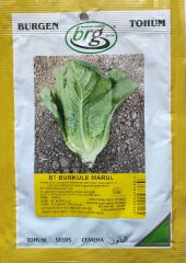 BT Burkule Marul Tohumu 10 gr