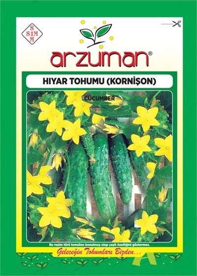 Kornişon Salatalık Tohumu (100 Adet) Turşuluk Hıyar