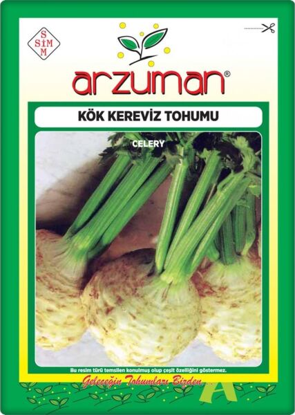 Kök Kereviz Tohumu (10 Gr) Çanakkale Yerli