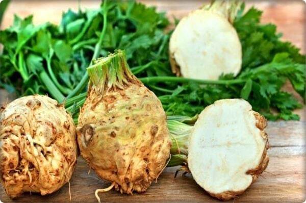 Kök Kereviz Tohumu (10 Gr) Çanakkale Yerli