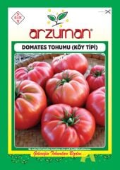 Köy Tipi Domates Tohumu (500 adet) Ege Pembesi