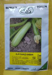 BT Sakız Kabak Tohumu 10 gr