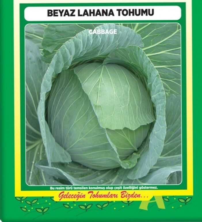 Lahana Tohumu (10 Gr) Beyaz Lahana