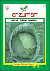 Lahana Tohumu (10 Gr) Beyaz Lahana