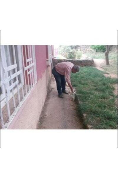 T0Z Kukurt Mantar Haşare Kükürtü 5 kg Orjinal Pakette