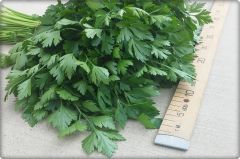 Küçükçiftlik Maydanoz Tohumu Geniş Yaprak 10 gr