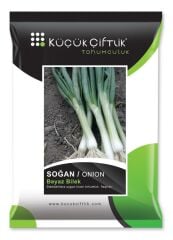 Küçükçiftlik Yeşil Soğan Tohumu 10 gr