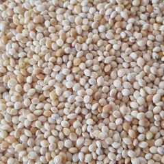 Sade Muhabbet Kuşu Yemi 1 Kg