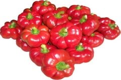 Domates Biberi Tohumu (5 Gr-500+ Adet)