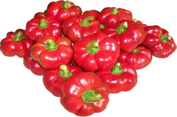 Domates Biberi Tohumu (5 Gr-500+ Adet)