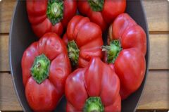 Domates Biberi Tohumu (5 Gr-500+ Adet)