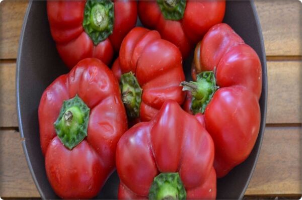 Domates Biberi Tohumu (5 Gr-500+ Adet)