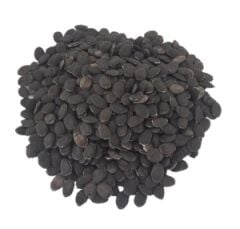 Lif Kabağı Tohumu (10 Adet Tohum)