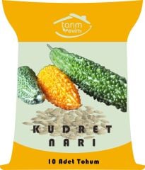 Kudret Narı Tohumu (10 Adet Tohum)
