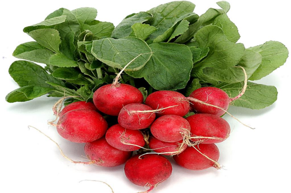 Fındık Turp (10 Gr) BT