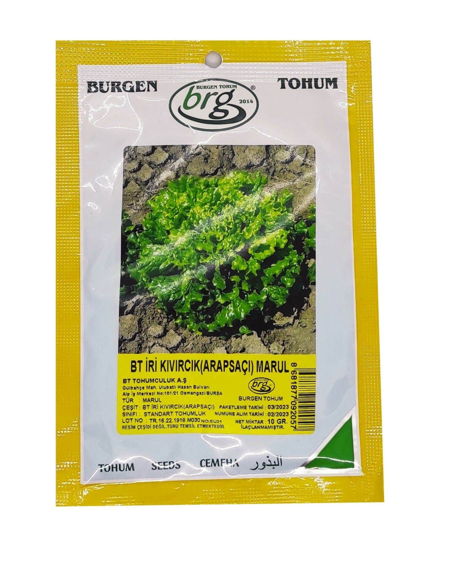 Marul Tohumu İri Kıvırcık Arapsaçı (10 Gr) BT