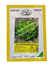 Marul Tohumu İri Kıvırcık Arapsaçı (10 Gr) BT